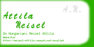 attila meisel business card